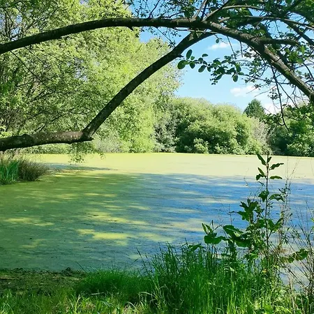 מלון Apartamento Boutique - La Tienda De Pepita *